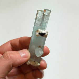 Tall Aquamarine Crystal Cluster with Black Mineral Inclusion Shigar Mine Pakistan 51.50 Grams