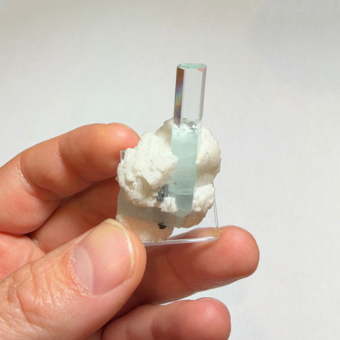 Aquamarine Crystal with White Feldspar Matrix from Shigar Mine Pakistan 14.66 Grams