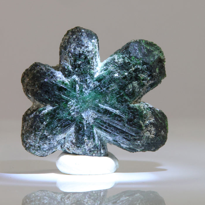 Alexandrite crystal specimen Zimbabwe