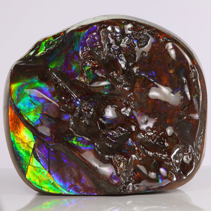 Ammolite