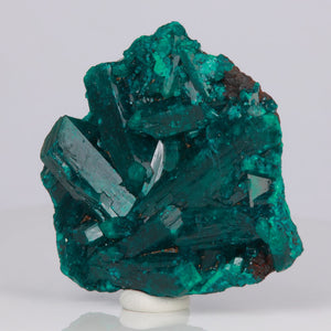 congo dioptase crystal mineral specimen