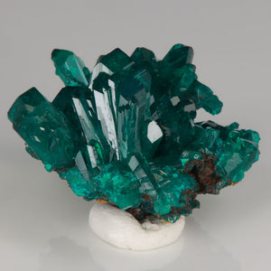 Dioptase Crystal Raw Mineral Specimen