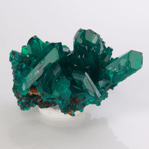 Congo green dioptase crystal cluster