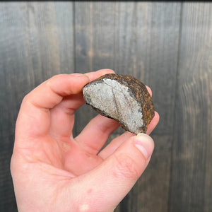 Etched Muonionalusta Meteorite 