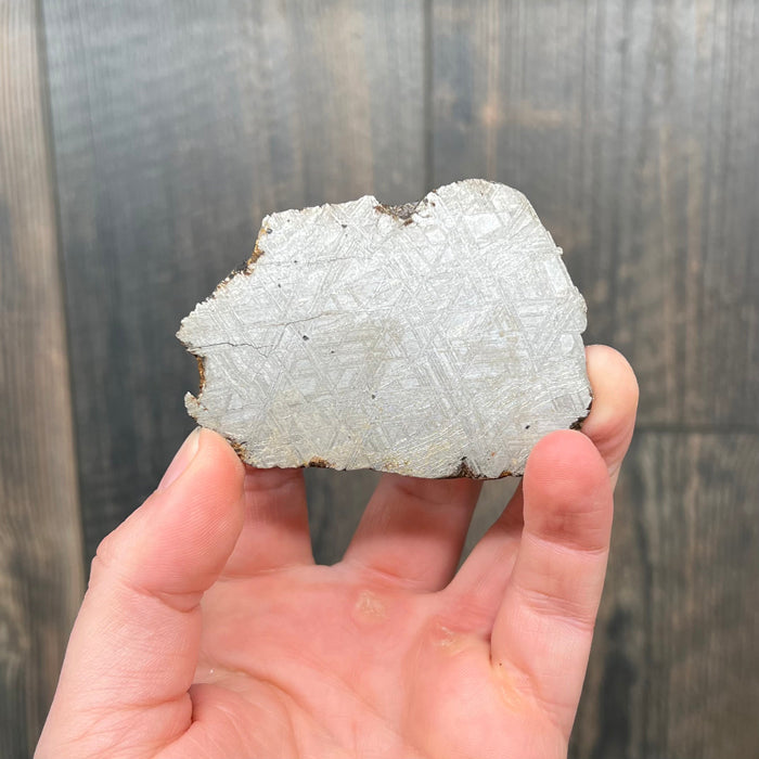 Etched Muonionalusta Meteorite from Space