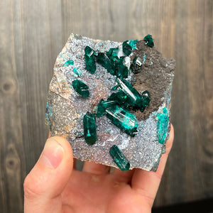 Deep Green Dioptase Crystals on Matrix Congo