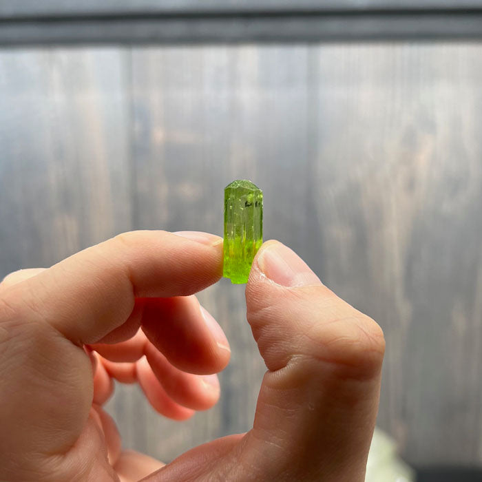 Diopside crystal lime green