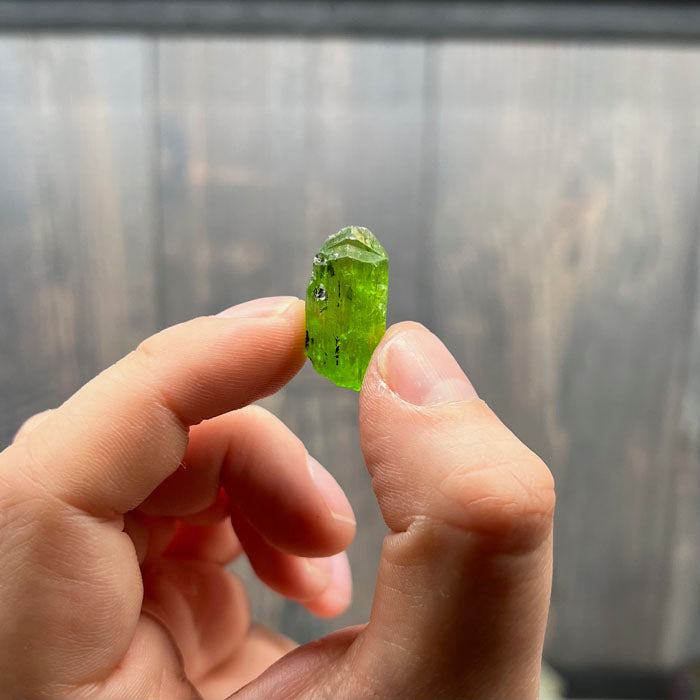 Diopside crystal from Tanzania