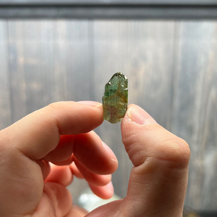 Green and Pink tourmaline crystal brazil