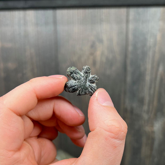 Alexandrite Crystal Raw Mineral Specimen Zimbabwe