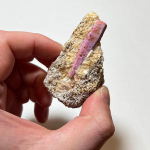 Natural ruby crystal in rock matrix Morogoro Tanzania mineral specimen