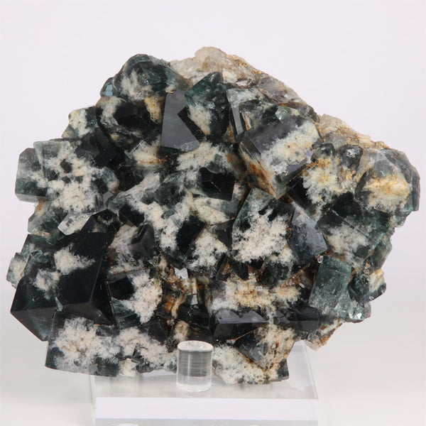 Diana-Maria-Fluorite-2_600x.