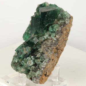 Daylight Fluorescent Fluorite Specimen Greedy Hog