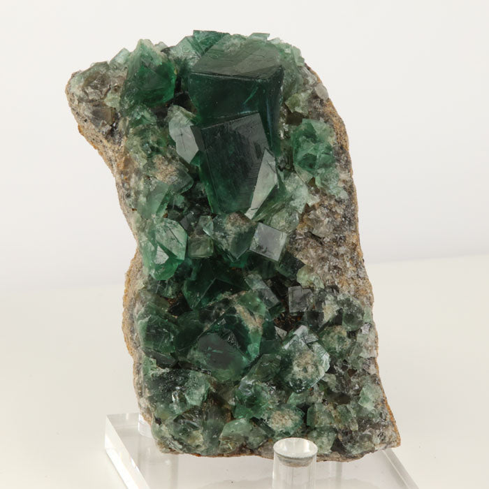 Greedy Hog Pocket Green Fluroite England