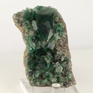 Greedy Hog Pocket Green Fluroite England