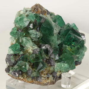 Greedy Hog Green Fluorite and Galena Crystal specimen