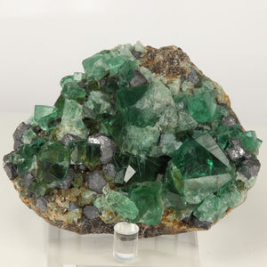 Fluorite and Galena Mineral Specimen England