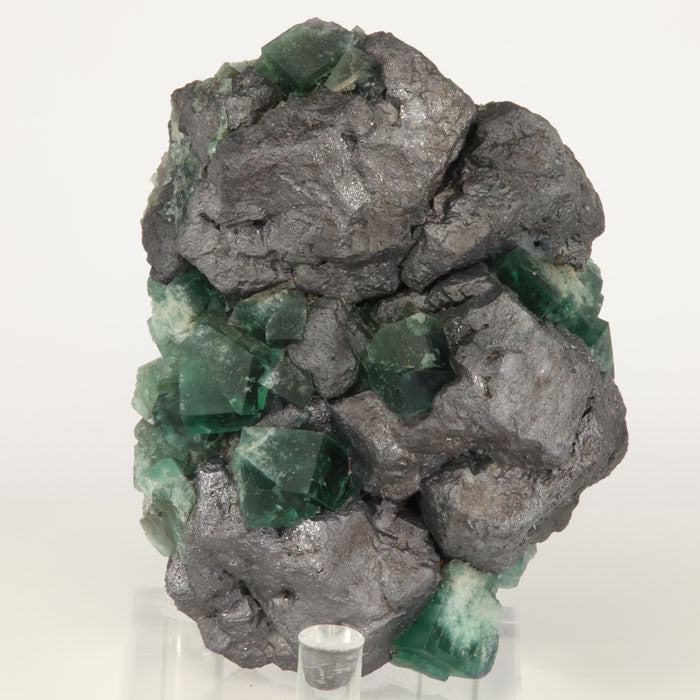 galena fluorite greedy hog pocket england crystals