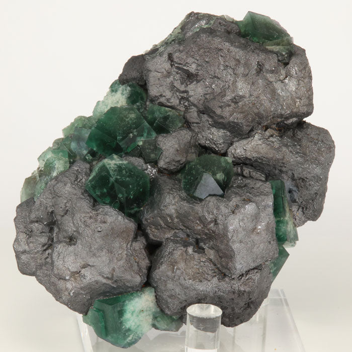 Diana MAria fluorite galina specimen