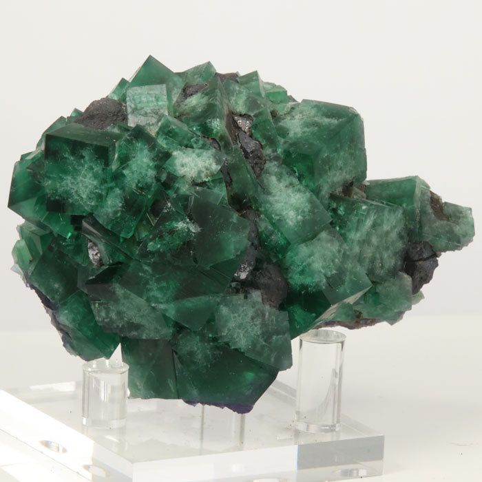Greedy Hog Pocket Diana Maria Fluorite