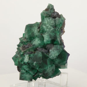 Green Fluorite Crystal Specimen