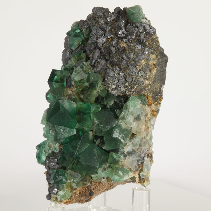 Diana Maria Greedy Hog Fluorite Green