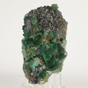 Greedy Hog Fluorite Specimen England 