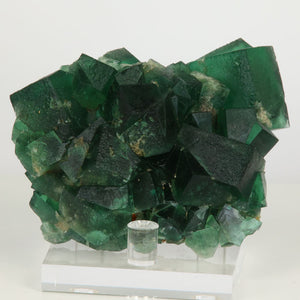 Green Greedy Hog Pocket Fluorite from Engalnd