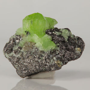 Bright green diopside crystal with dark matrix collector specimen