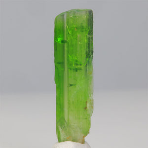 Tremolite mineral specimen