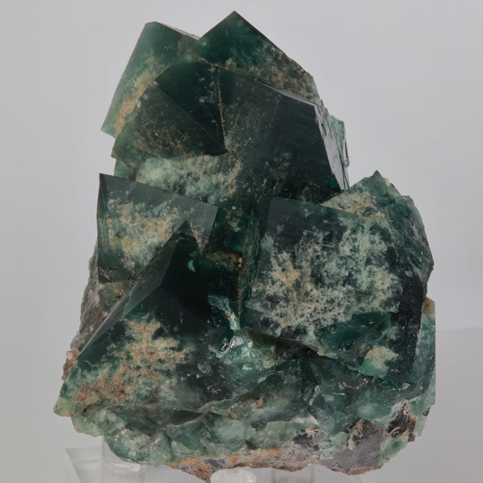 Green Fluorite Crystal Specimen England
