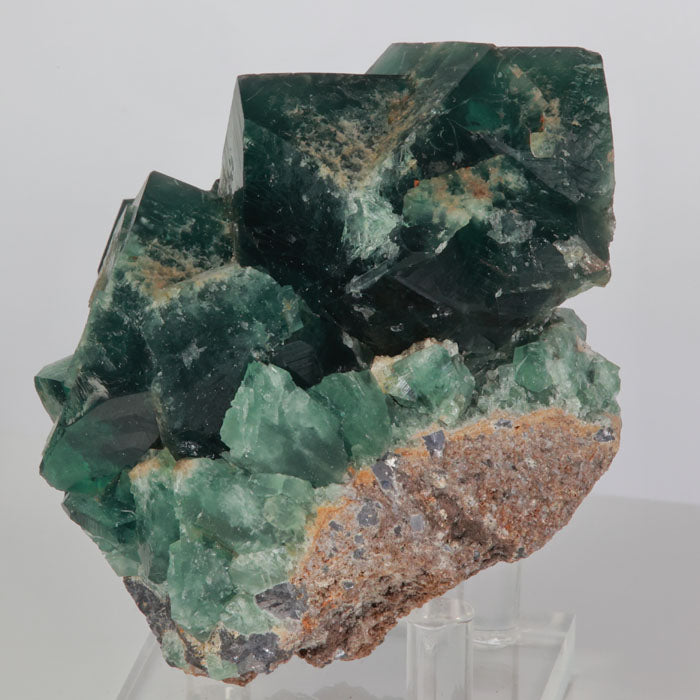 Greedy Hog Pocket Fluorite