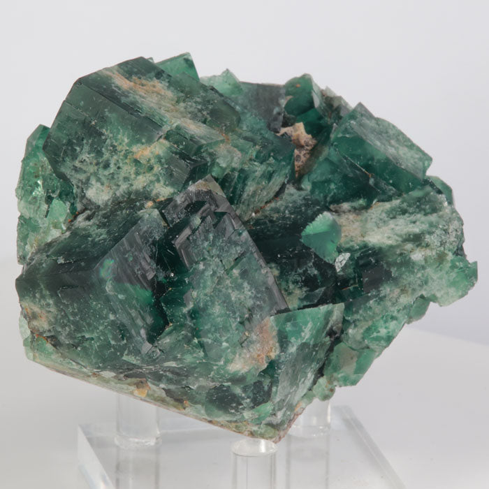 Diana MAria fluorite from england