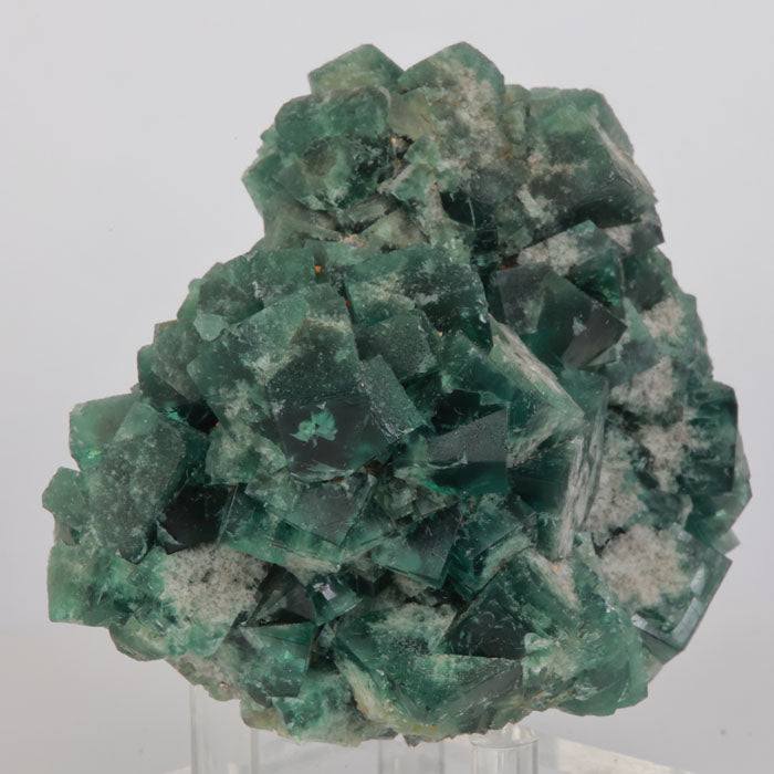 Green Fluorite Crystal Specimen