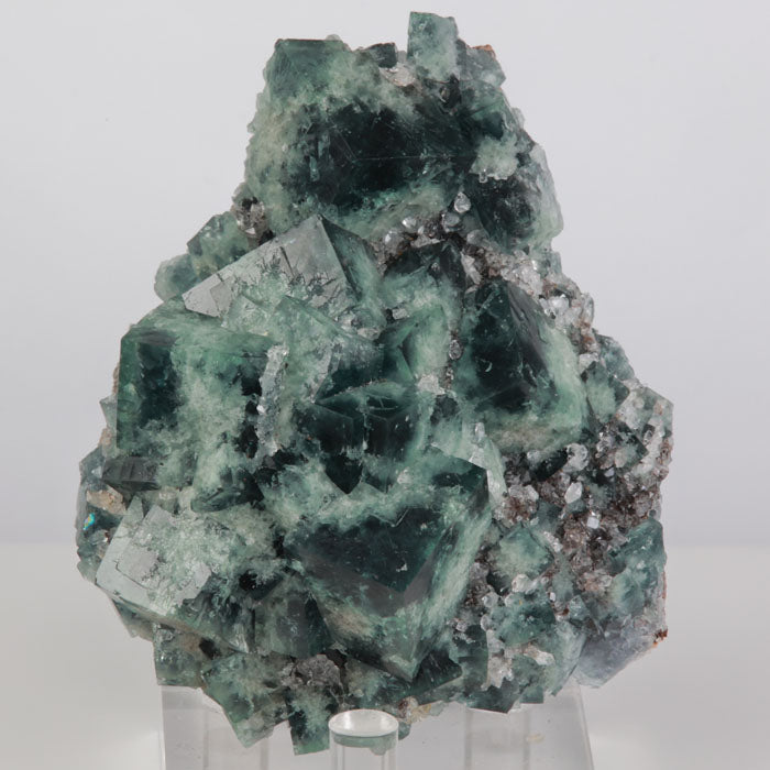 Daylight Fluorescent Fluorte England