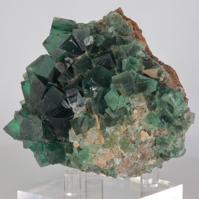 greedy hog pocket fluorite england