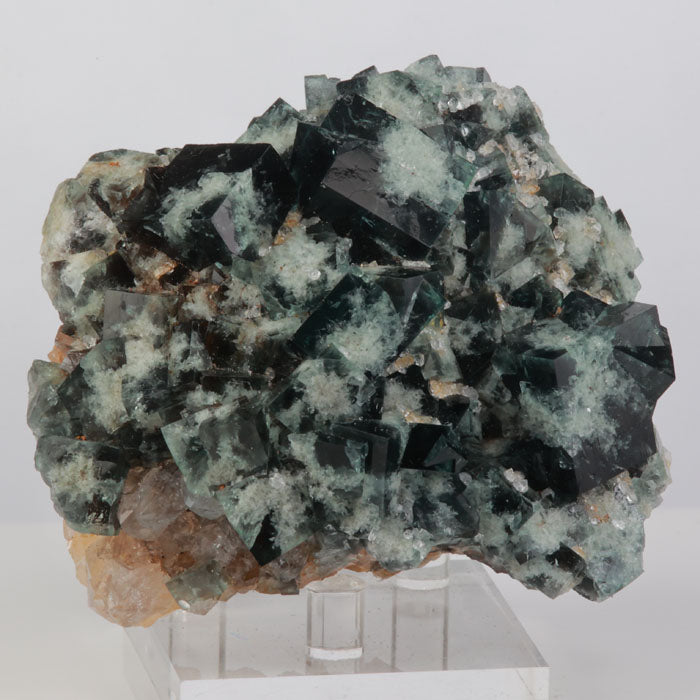 Supernova Pocket English Daylight Fluorescent Fluorite Mineral Specimen