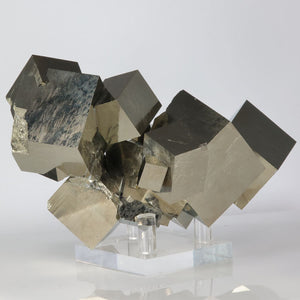 874g Big Intricate Pyrite Cube Crystal Cluster from Spain