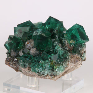Heavy Metal Pocket Diana Maria Mine Fluorite Green