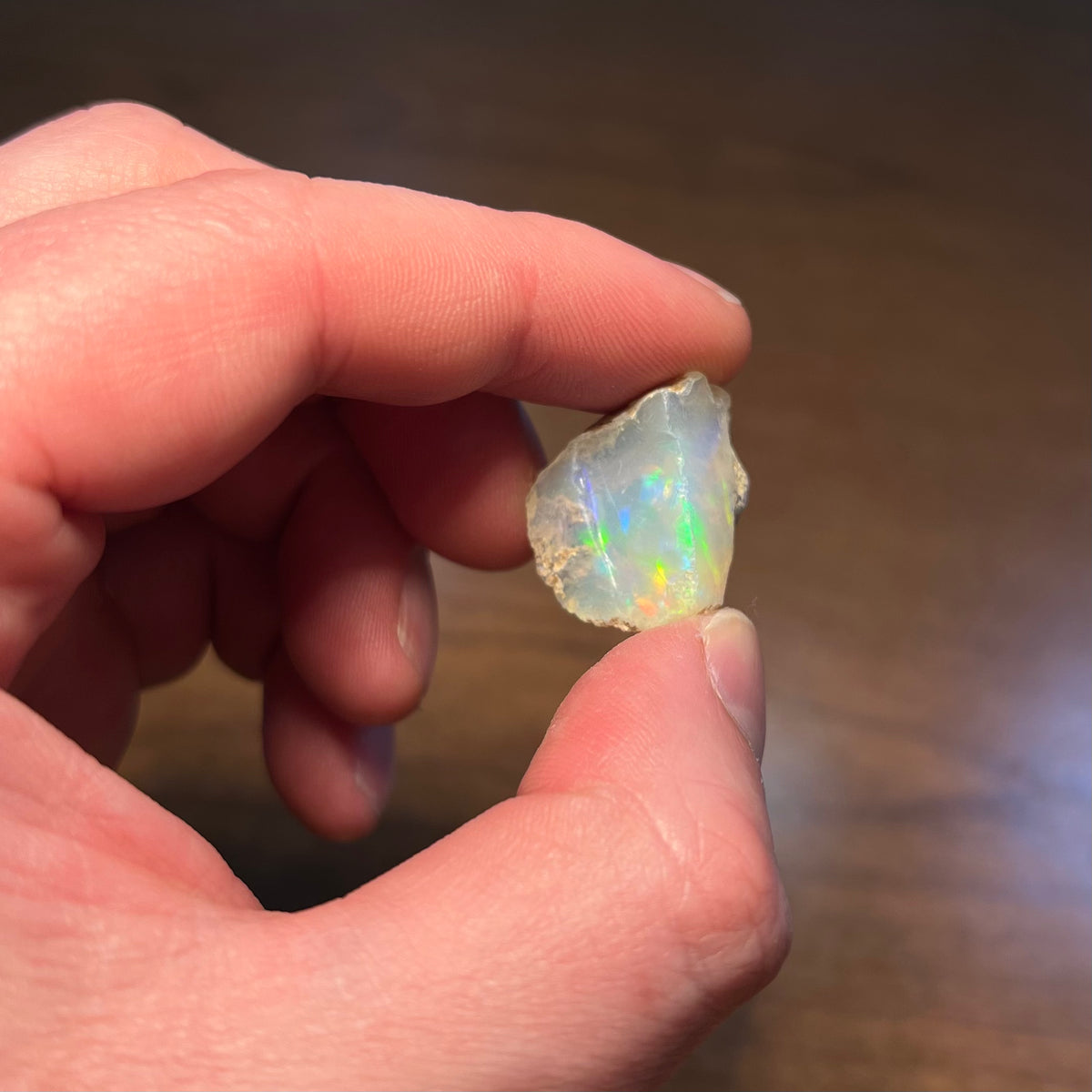 Welo Ethiopian opal rough in hand