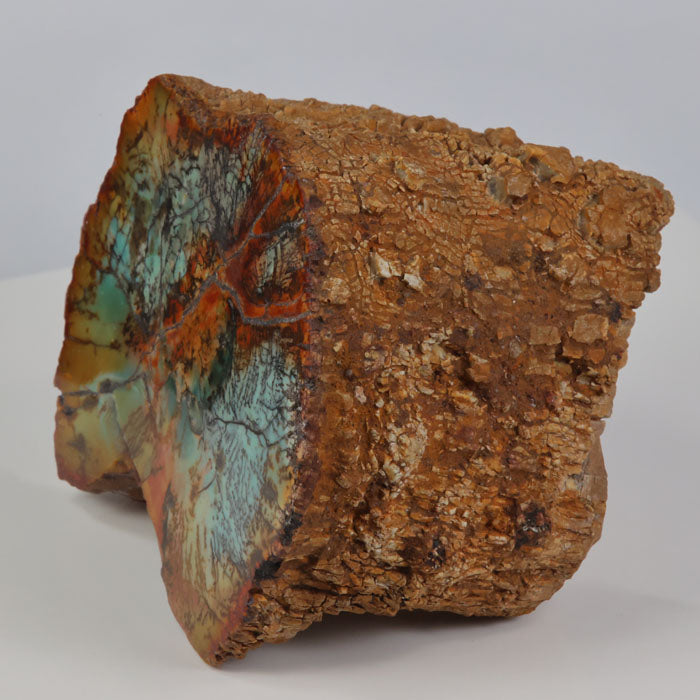 Chrome Petrified Wood
