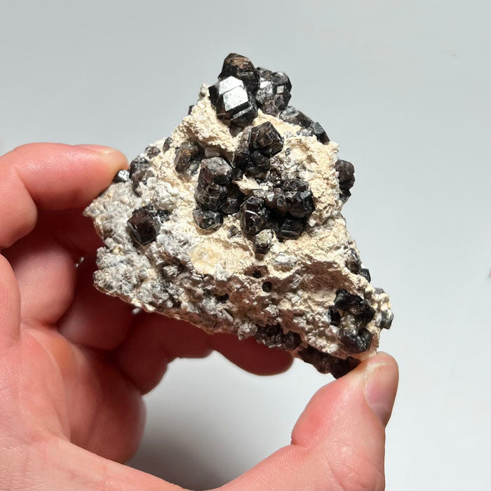 STREULE GARNET 70 24.0㎝ 1.32-natural-light-mint-green-