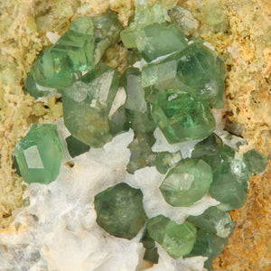 Madagascar Demantoid Garnet Crystal Cluster Mineral Specimen