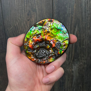 Center of an ammolite fossil from canada
