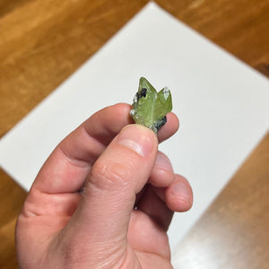 53.5ct Diopside Crystal Specimen from Tanzania
