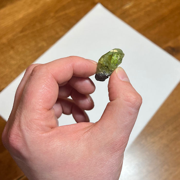 45ct Gemmy Diopside Crystal from Tanzania