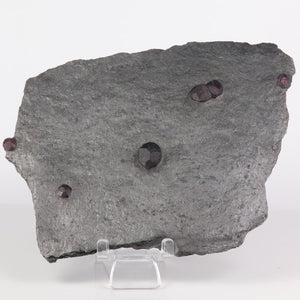 101g Red Embers Mine Garnet in Graphite
