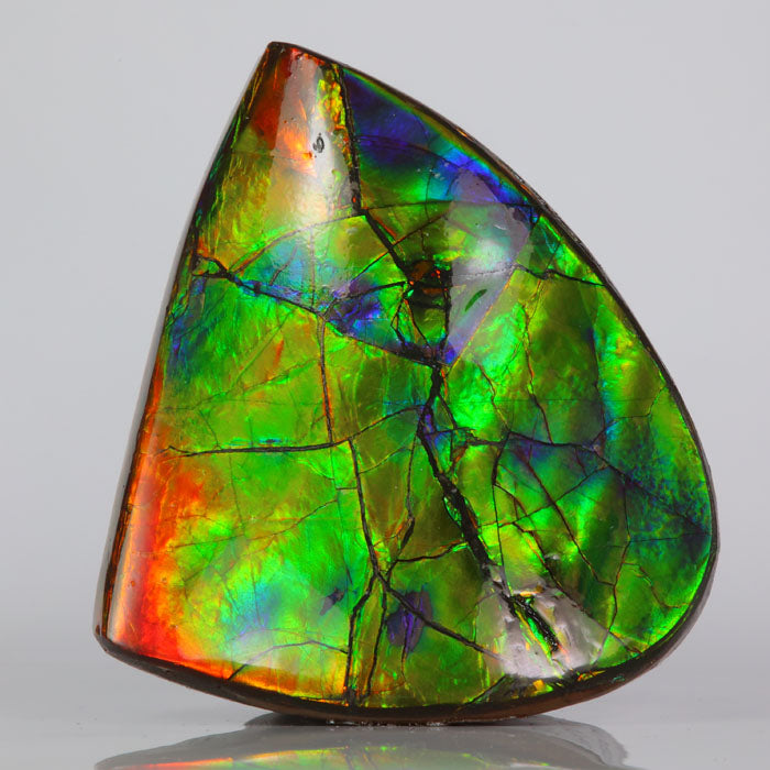 Multicolored ammolite gemstone with a rainbow-like pattern on a gray background