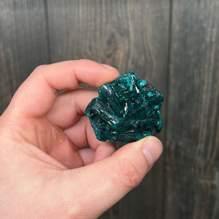 Green Dioptase specimen from congo