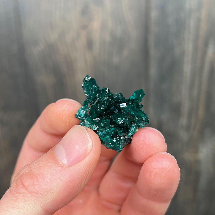 dioptase crystal cluster from congo
